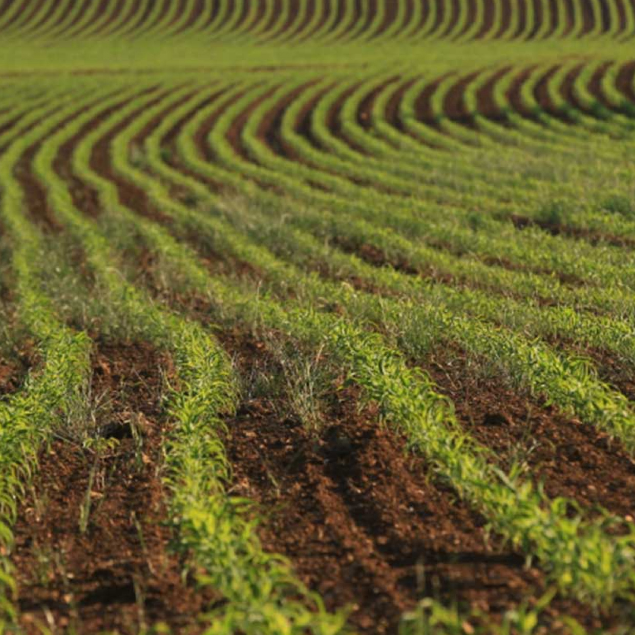 L’installation et la transmission des exploitations