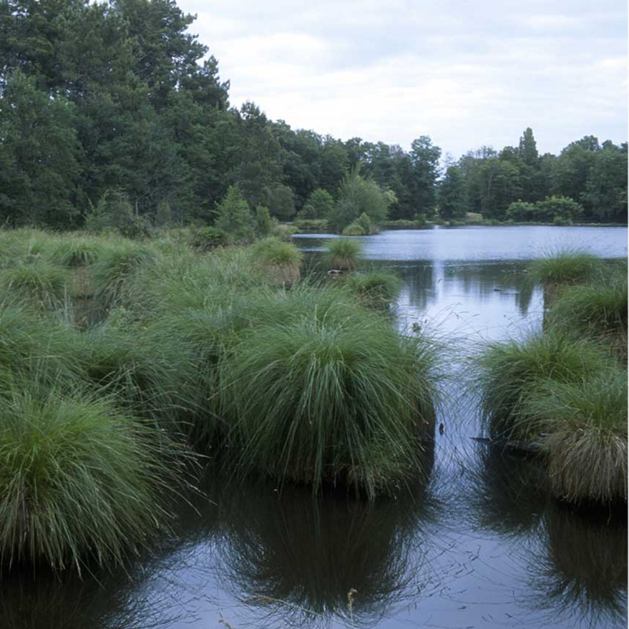Le respect de l’environnement